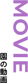園の動画